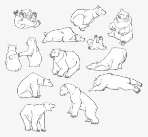 Simple Bear Outline Tattoos Images Amp Pictures Nearpics - Grizzly Bear Tattoo Simple, HD Png Download, Free Download
