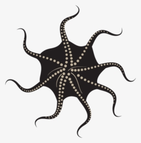 Octopus Vector , Transparent Cartoons - Octopus Vector, HD Png Download, Free Download