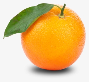 Orange Hd Png Transparent Orange Hd - Single Fruits And Vegetables, Png Download, Free Download