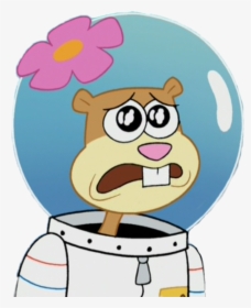 Sandy Cheeks , Png Download - Nickelodeon Stickers, Transparent Png ...