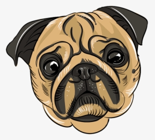Pug Drawing, HD Png Download, Free Download