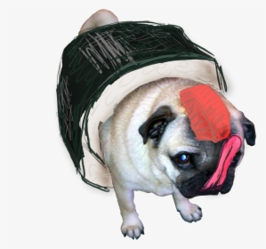 Transparent Pugs Drawn Sushi Pug - Sushi Pug, HD Png Download, Free Download
