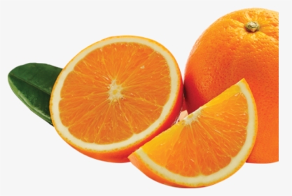 Oranges - Bitter Orange Png, Transparent Png, Free Download
