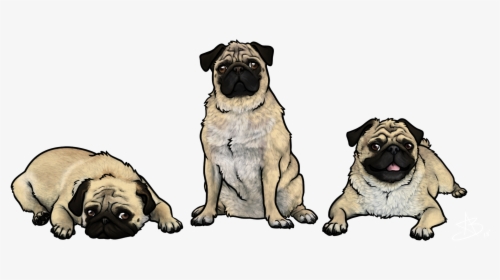 Three Little Pugs, HD Png Download, Free Download