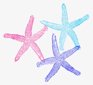 Starfish Clipart Colorful Triple - Transparent Background Mermaid Png Clipart, Png Download, Free Download