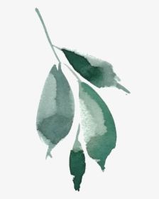 Green Drawing Watercolor - Sketch, HD Png Download, Free Download