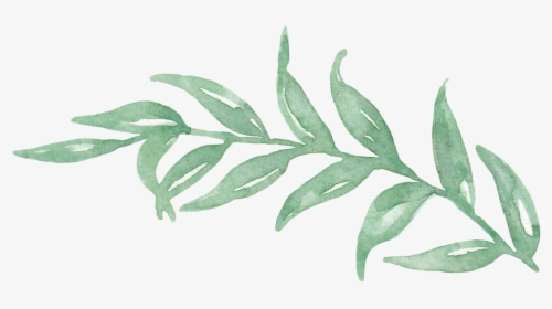 Transparent Branch With Leaves Png - Green Leaf Watercolor Png, Png Download, Free Download