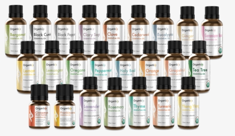 Transparent Essential Oil Bottle Png - Essential Oils Philippines Price, Png Download, Free Download