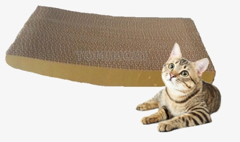 Corrugated Cardboard Seesaw Cat Scratch, HD Png Download, Free Download