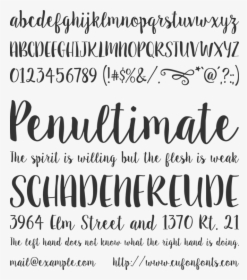 Jester Font, HD Png Download, Free Download