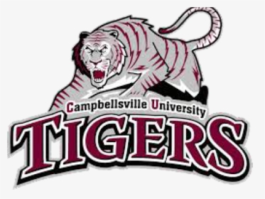 Transparent Tigers Clipart - Campbellsville University Football Logo, HD Png Download, Free Download