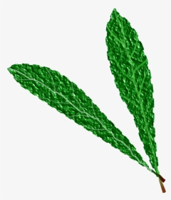 Green Leaves, Textured Clip Arts - Leaf, HD Png Download, Free Download