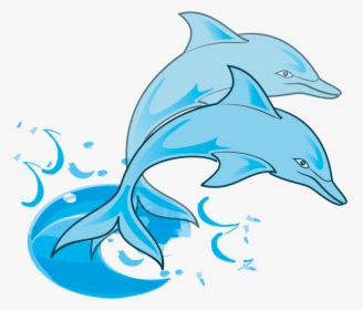 Transparent Dolphin Png - Dolphins Clipart Png, Png Download, Free Download