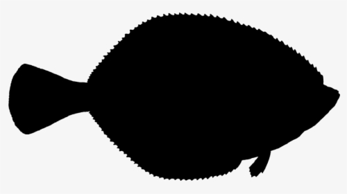 Fish Clipart Silhouette Flatfish Atlantic Halibut - Sole, HD Png Download, Free Download