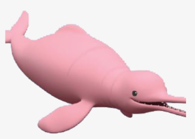 Dolphines Clipart Pink Dolphin - Catfish Octonauts, HD Png Download, Free Download