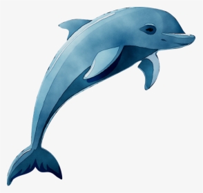 Dolphin Vector Graphics Clip Art Drawing Cartoon - Dolphin Jumping Out Of Water Clipart, HD Png Download, Free Download