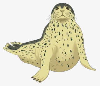 Seal, Gray, Cream, Animal, Spotted, Flippers, Spot - Leopard Seal Clipart, HD Png Download, Free Download