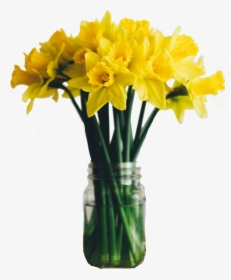 Sympathy Flowers Yellow Daffodils - Quote Happy Sunday Morning, HD Png Download, Free Download