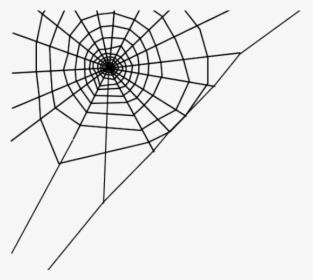 Transparent Background Spider Web Png, Png Download, Free Download