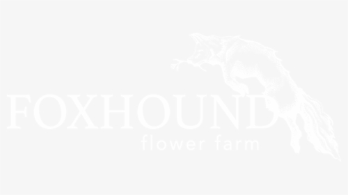 Foxhound Png, Transparent Png, Free Download