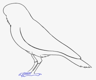 How To Draw Raven - Kite, HD Png Download, Free Download