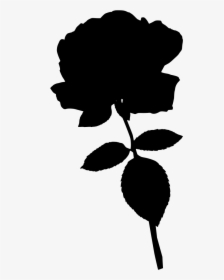 Rose Centifolia Png, Transparent Png, Free Download