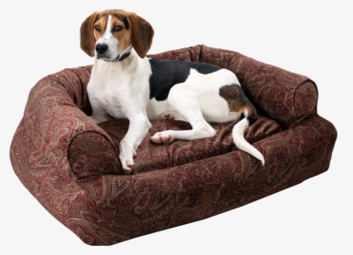 Studio Couch, HD Png Download, Free Download