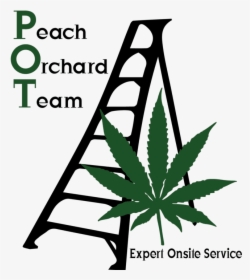 Peach Orchard Team Logo, HD Png Download, Free Download