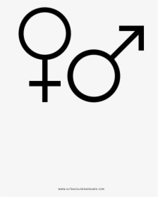 Gender Symbols Coloring Page - Circle, HD Png Download, Free Download
