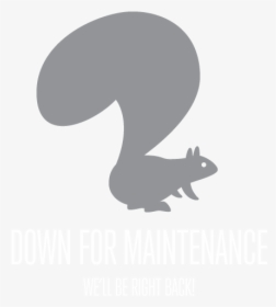 Font Squirrel Icon, HD Png Download, Free Download