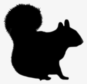 Grey Squirrel, HD Png Download, Free Download