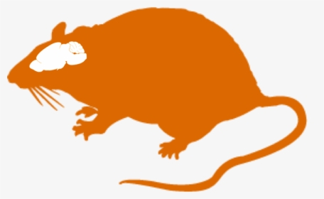 Transparent Rat Clipart Png, Png Download, Free Download