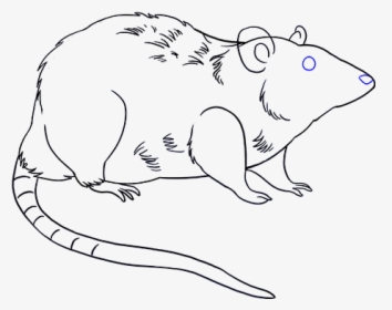 Rat Clipart Simple - Rat Drawing Png, Transparent Png, Free Download