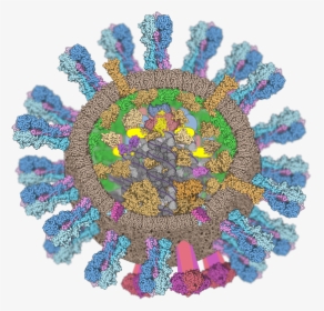 Influenza Virus - Flu Virus, HD Png Download, Free Download