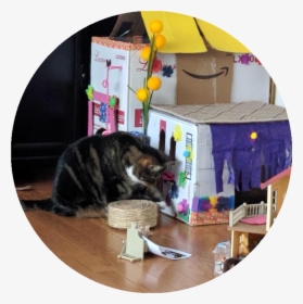 Cat Grabs Treat, HD Png Download, Free Download