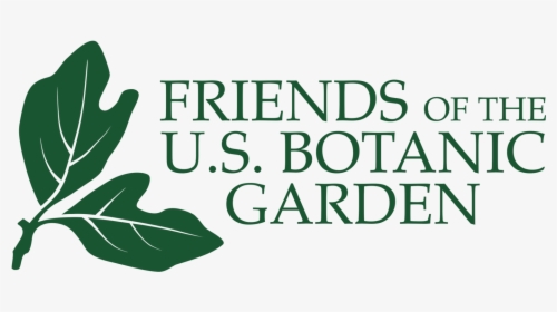 Garden Clipart Botanical Garden - Focus Enhancements, HD Png Download, Free Download
