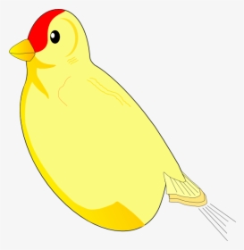 Bird Without A Wing, HD Png Download, Free Download