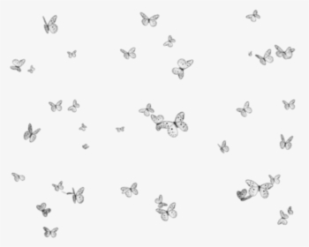 Transparent Mariposas Volando Png - Flores Png Fundo Transparente, Png Download, Free Download