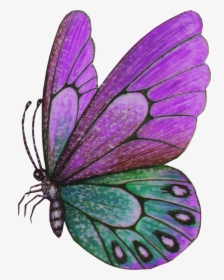 Papillons Butterfly, HD Png Download, Free Download