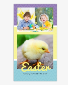 Easter Instagram Story Template Preview - Chicken, HD Png Download, Free Download