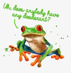 Transparent Red Eyed Tree Frog Clipart - Skunk Frog, HD Png Download, Free Download
