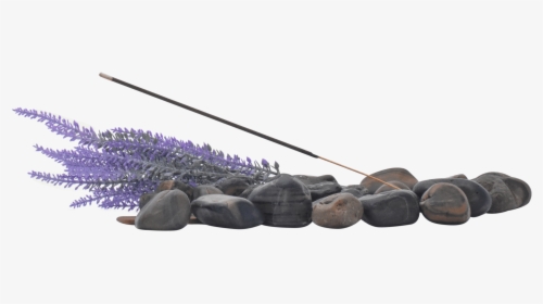 Pendy Co Lavender Incense Product Image - Cannon, HD Png Download, Free Download