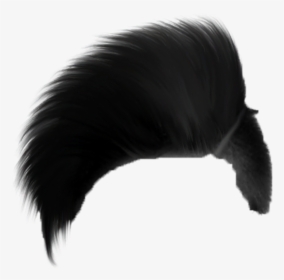 Picsart Png Hair Styles, Transparent Png - kindpng