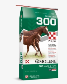 Omolene 300 Growth Horse Feed - Purina Omolene #100 Active Pleasure Horse Feed, HD Png Download, Free Download