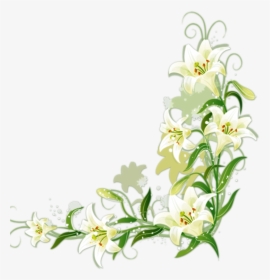 Lilium Candidum Border Flowers - White Flower Border Png, Transparent Png, Free Download