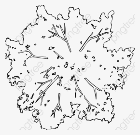 Transparent Pan Clipart - Tree Top View Png Black And White, Png Download, Free Download