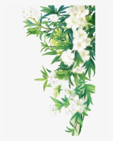#white #flower #nature #border #leaves #landscape - Border White Flower Png, Transparent Png, Free Download