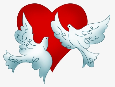 Wedding Doves Png - Free Clip Art Wedding Doves, Transparent Png, Free Download