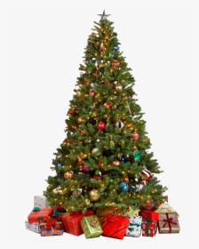 Christmas Tree Png - Decorated Christmas Tree Png, Transparent Png, Free Download