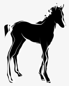 Foal Icon, HD Png Download, Free Download